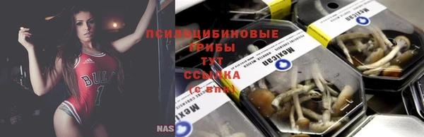 дурь Зеленодольск