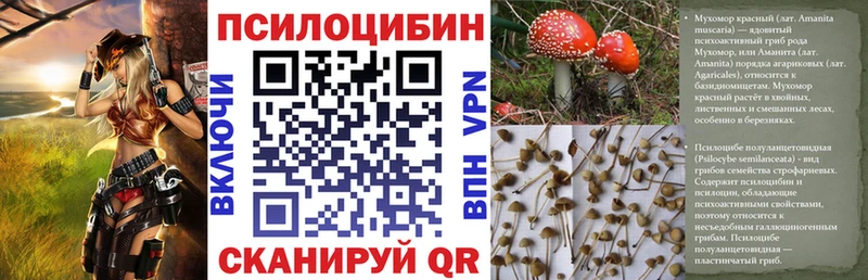 Купить где  Дубна  Псилоцибиновые грибы мицелий 